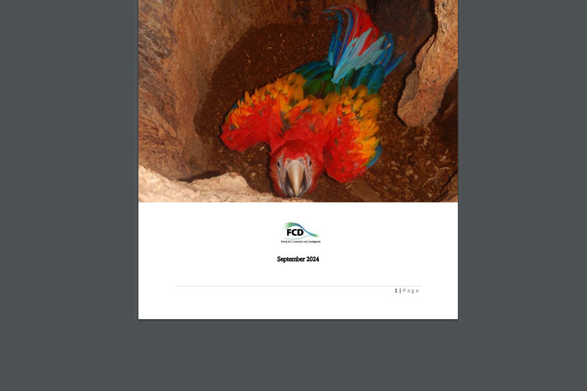 Scarlet Macaw Conservation in the Chiquibul Forest: Nesting Ecology and In-Situ Species Management Report 2024