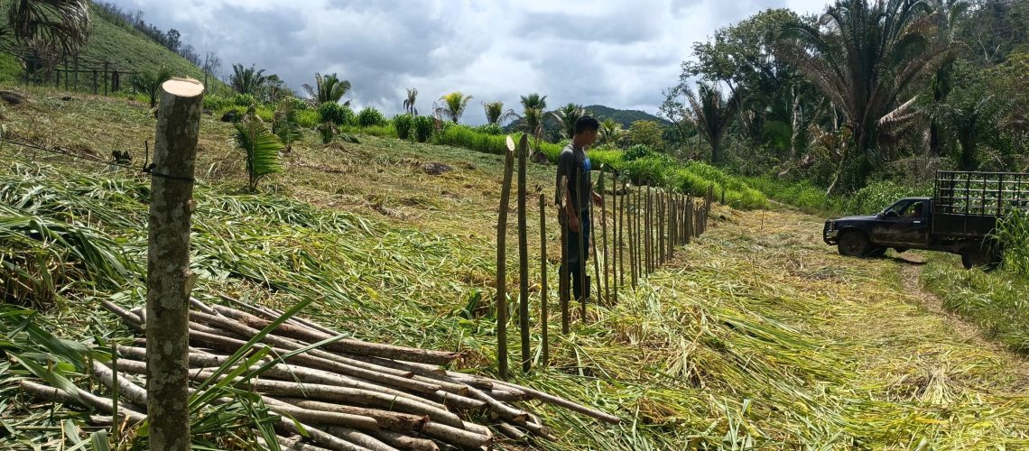 IMG_20230803_102220_191